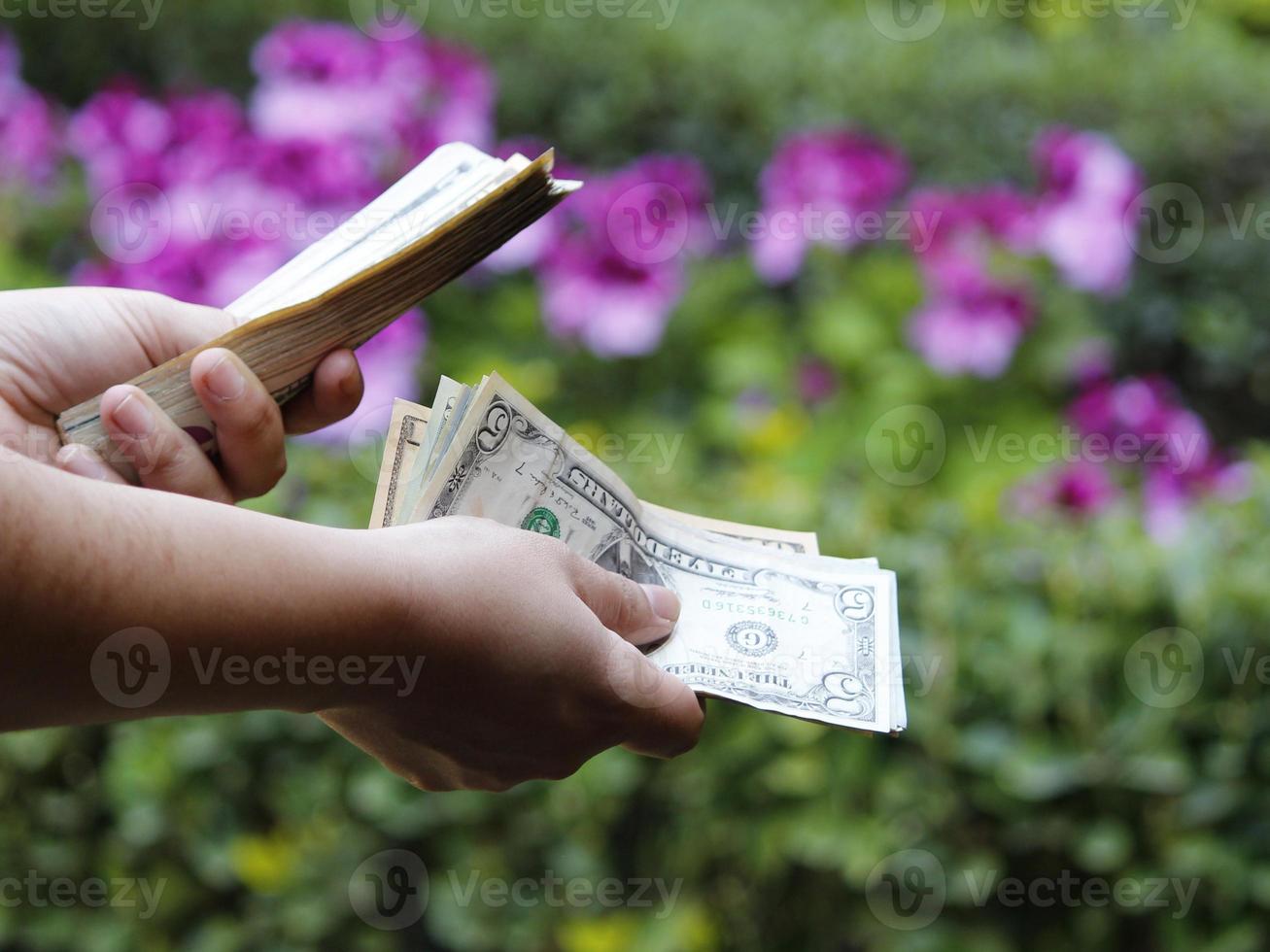 Manos de una mujer sosteniendo billetes de dólares americanos en un jardín. foto