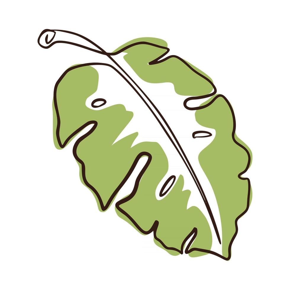 One Line Style Philodendron Leaf vector