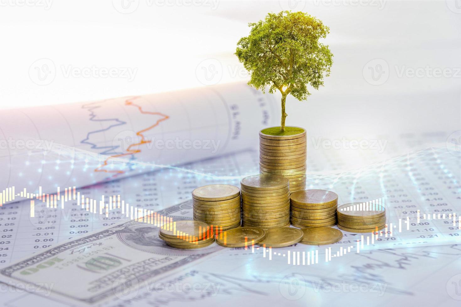 el árbol está creciendo tanto en el progreso del dinero como en los informes financieros, junto con las cuentas financieras, los negocios, la inversión en la mesa del inversor. concepto de inversión frontal foto