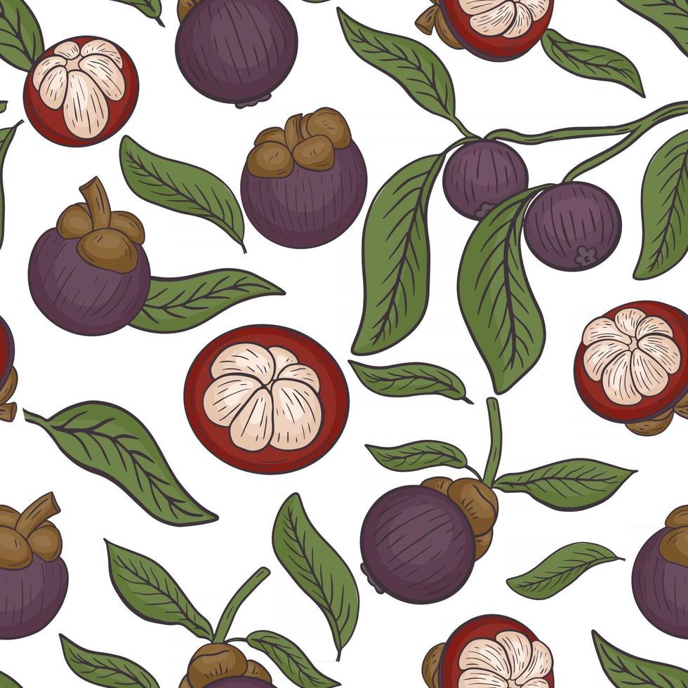 Seamless pattern with mangosteen vector