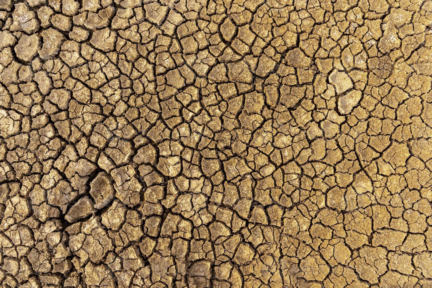 The concept of natural drought of the environment on Earth dry soil, cracked soil with soil erosion Becomes red that is not agricultural photo