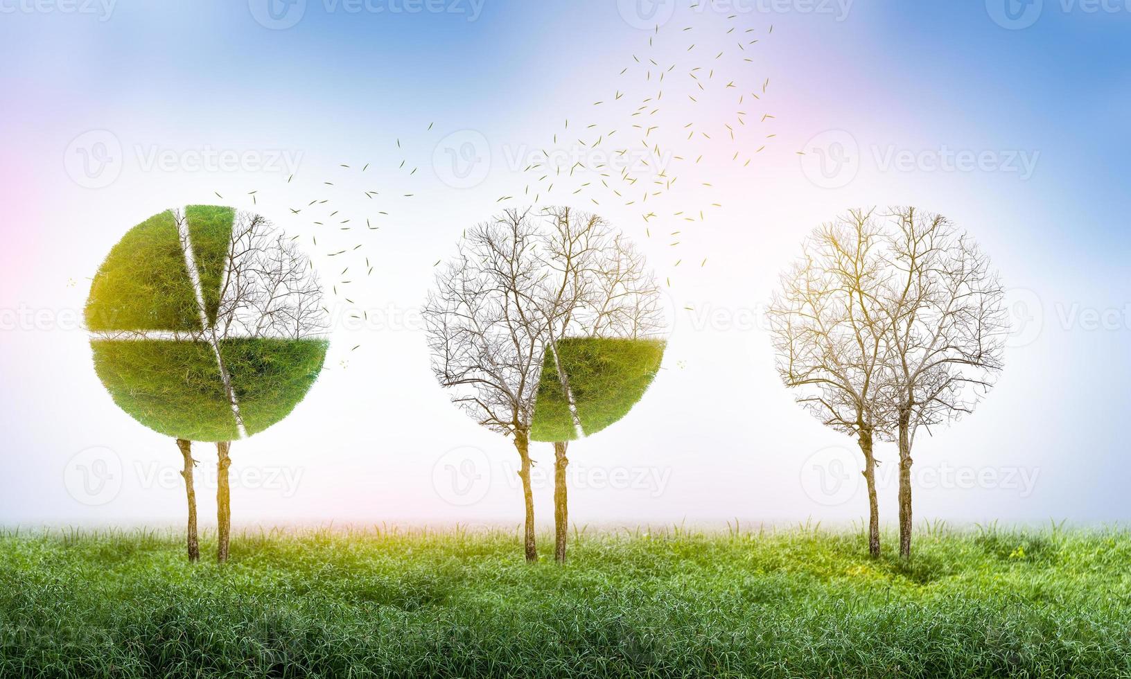 Loss of market share The pie chart is a growing green tree and falls into a business concept of losing money, a symbol of economic investment. photo