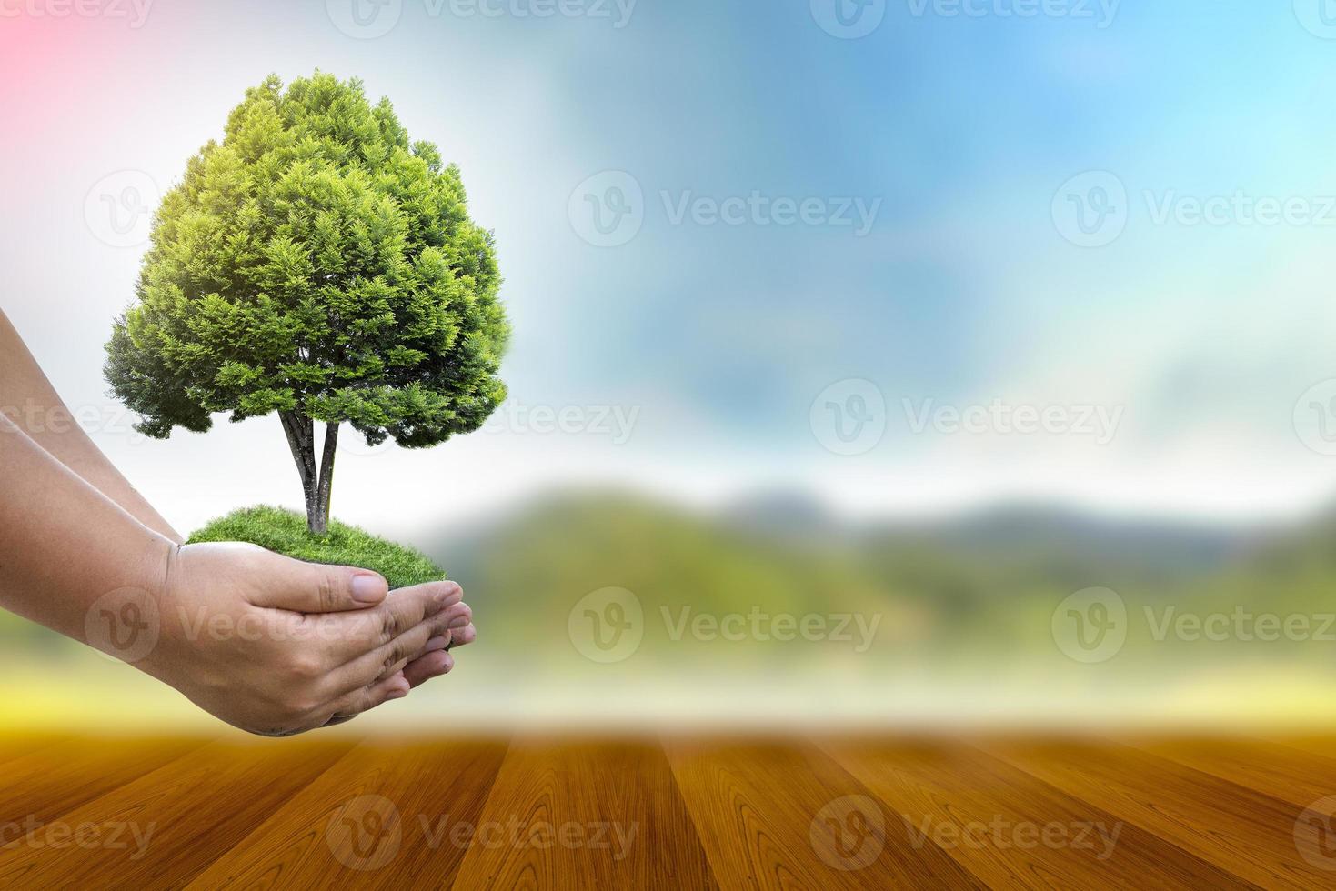 Renewable energy concept Earth Day or environment protection Hands protect forests that grow on the ground and help save the world. photo