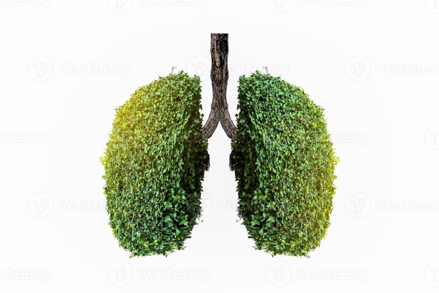 Lung green tree-shaped images, medical concepts, autopsy, 3D display and animals as an element photo