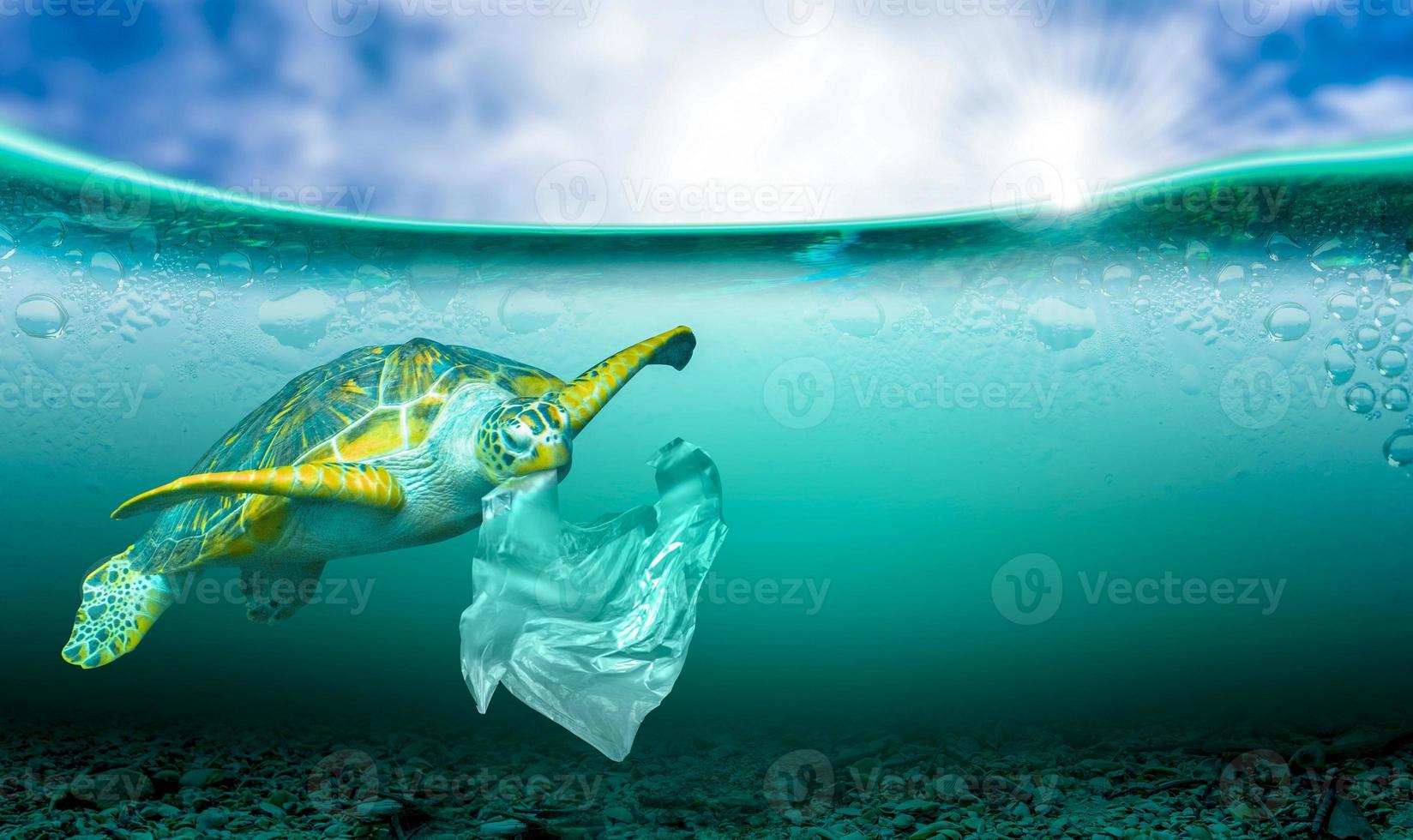 Plastic pollution in marine environmental problems Animals in the sea cannot live. And cause plastic pollution in the ocean  Environmental concept photo