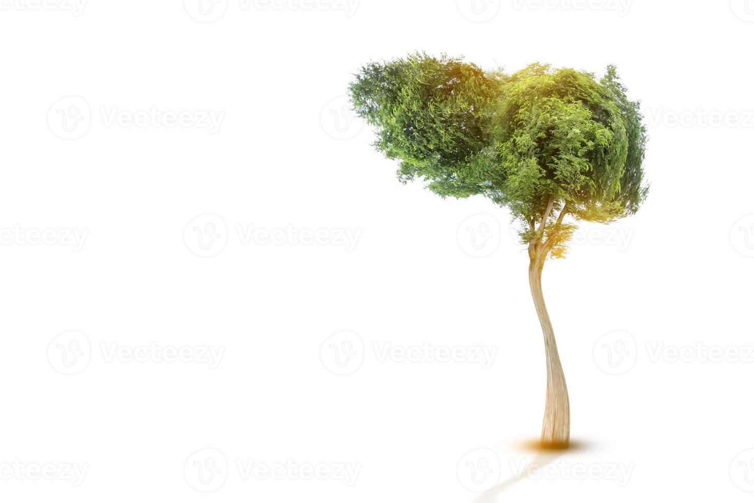 Las imágenes realistas del hígado son formas de árboles verdes humanos sobre las enfermedades y el entorno de la cirrosis. foto