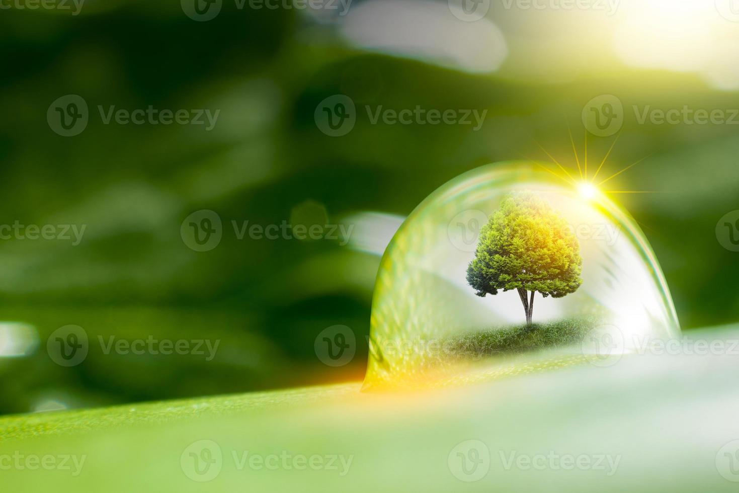 3D illustration Renewable energy concept Earth Day or environmental protection Protect the forests that grow on the ground and help save the planet. photo