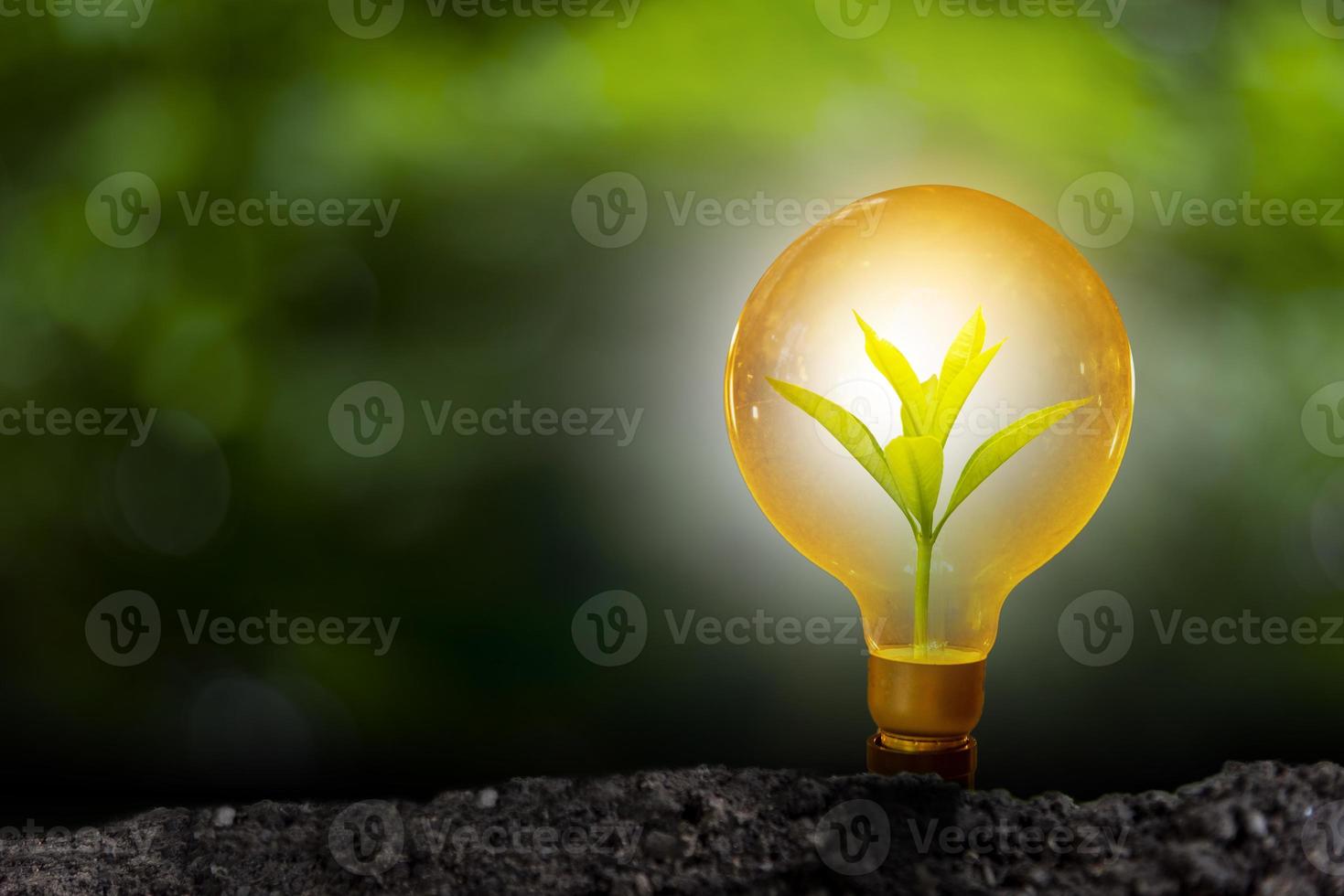 3D illustration Renewable energy concept Earth Day or environmental protection Protect the forests that grow on the ground and help save the planet. photo