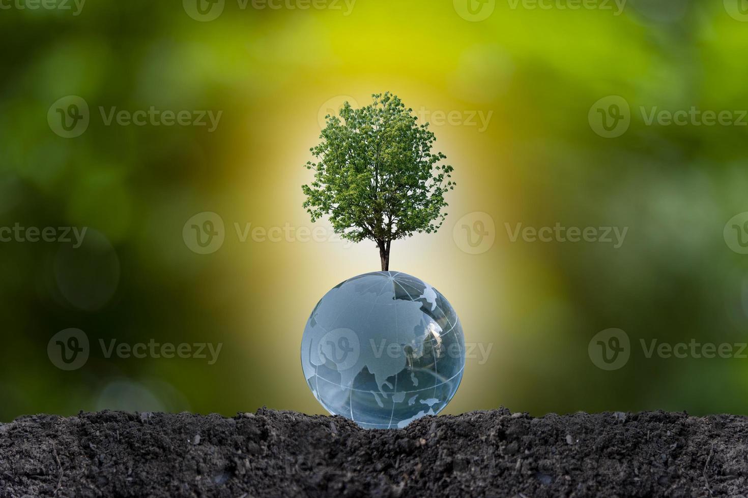 Renewable energy concept Earth Day or environment protection Hands protect forests that grow on the ground and help save the world. photo