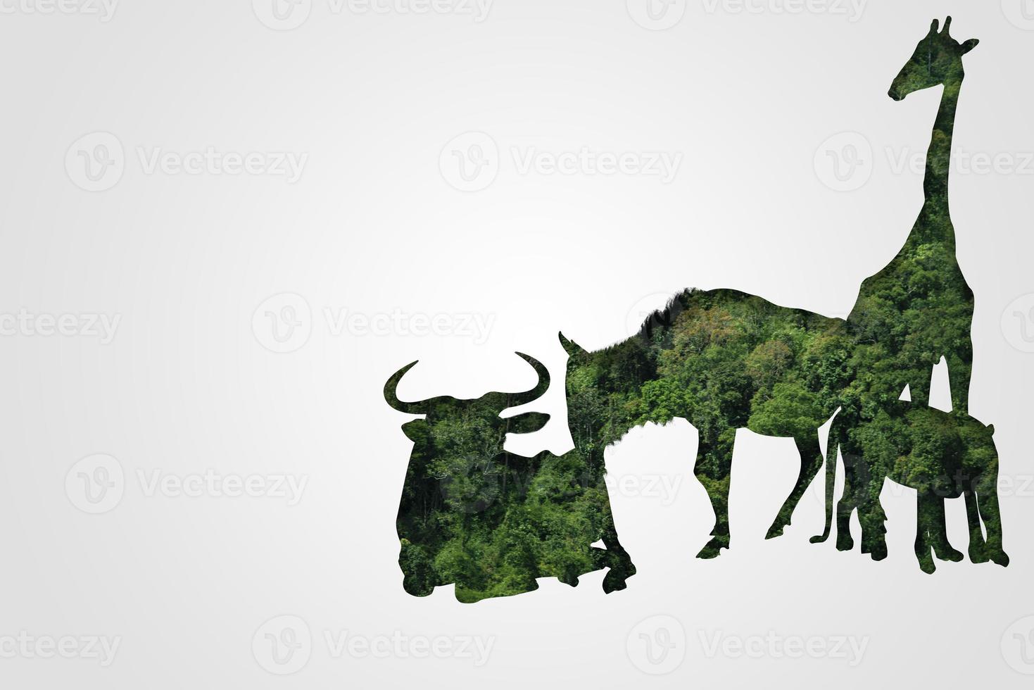 Wildlife Conservation Day Wild animals to the home. Or wildlife protection photo