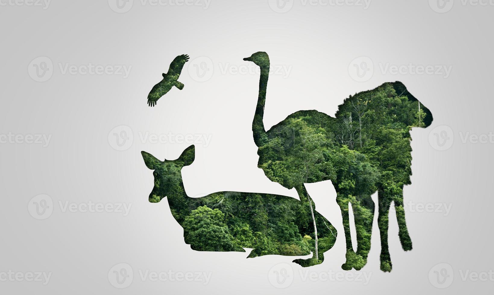 Wildlife Conservation Day Wild animals to the home. Or wildlife protection photo