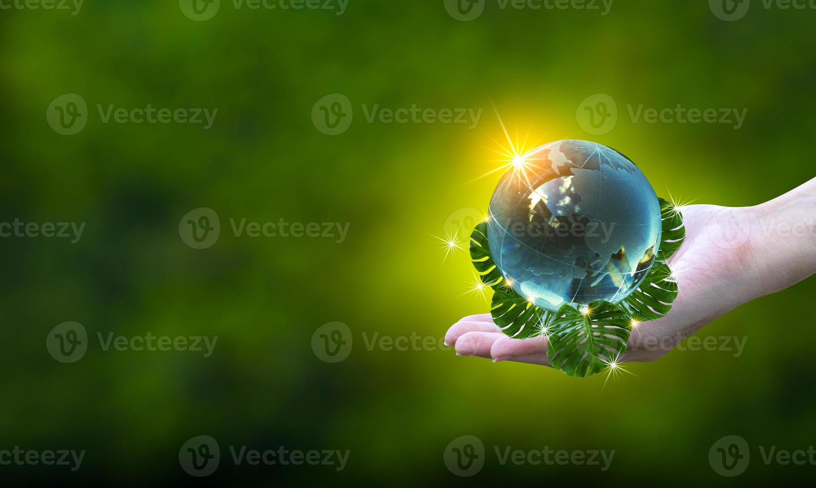 Renewable energy concept Earth Day or environment protection Hands protect forests that grow on the ground and help save the world. photo