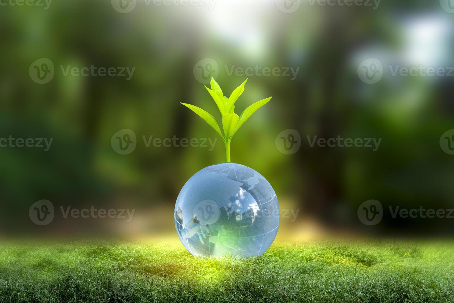 Renewable energy concept Earth Day or environment protection Hands protect forests that grow on the ground and help save the world. photo