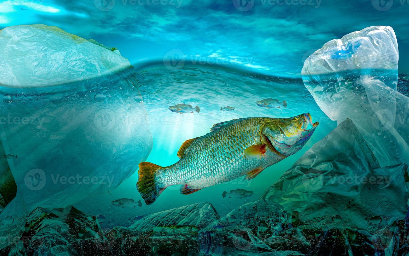 Contaminación plástica en problemas ambientales marinos Los animales en el mar no pueden vivir. y causar contaminación plástica en el concepto ambiental del océano. foto