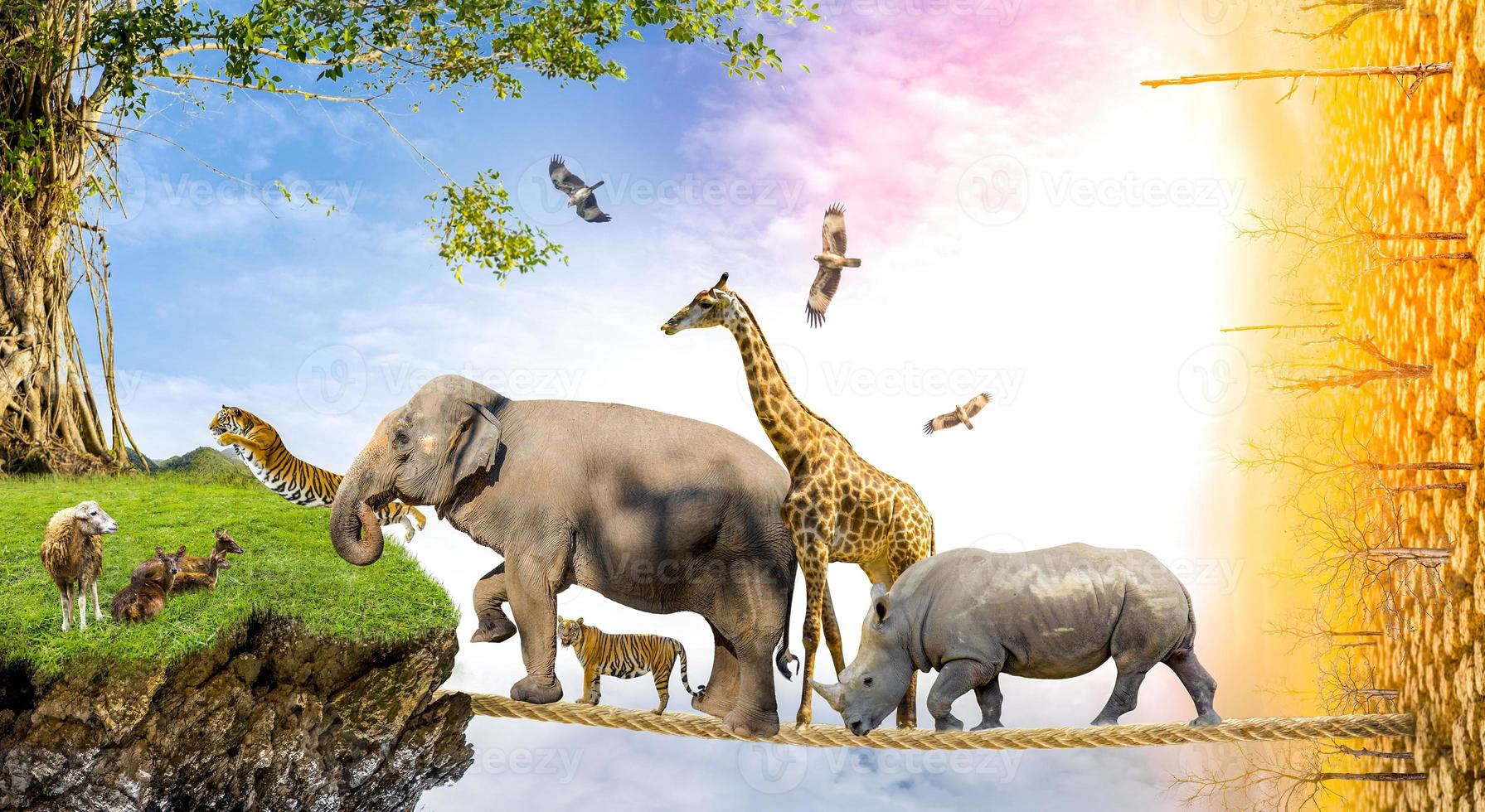 Wildlife Conservation Day Wild animals to the home. Or wildlife protection photo