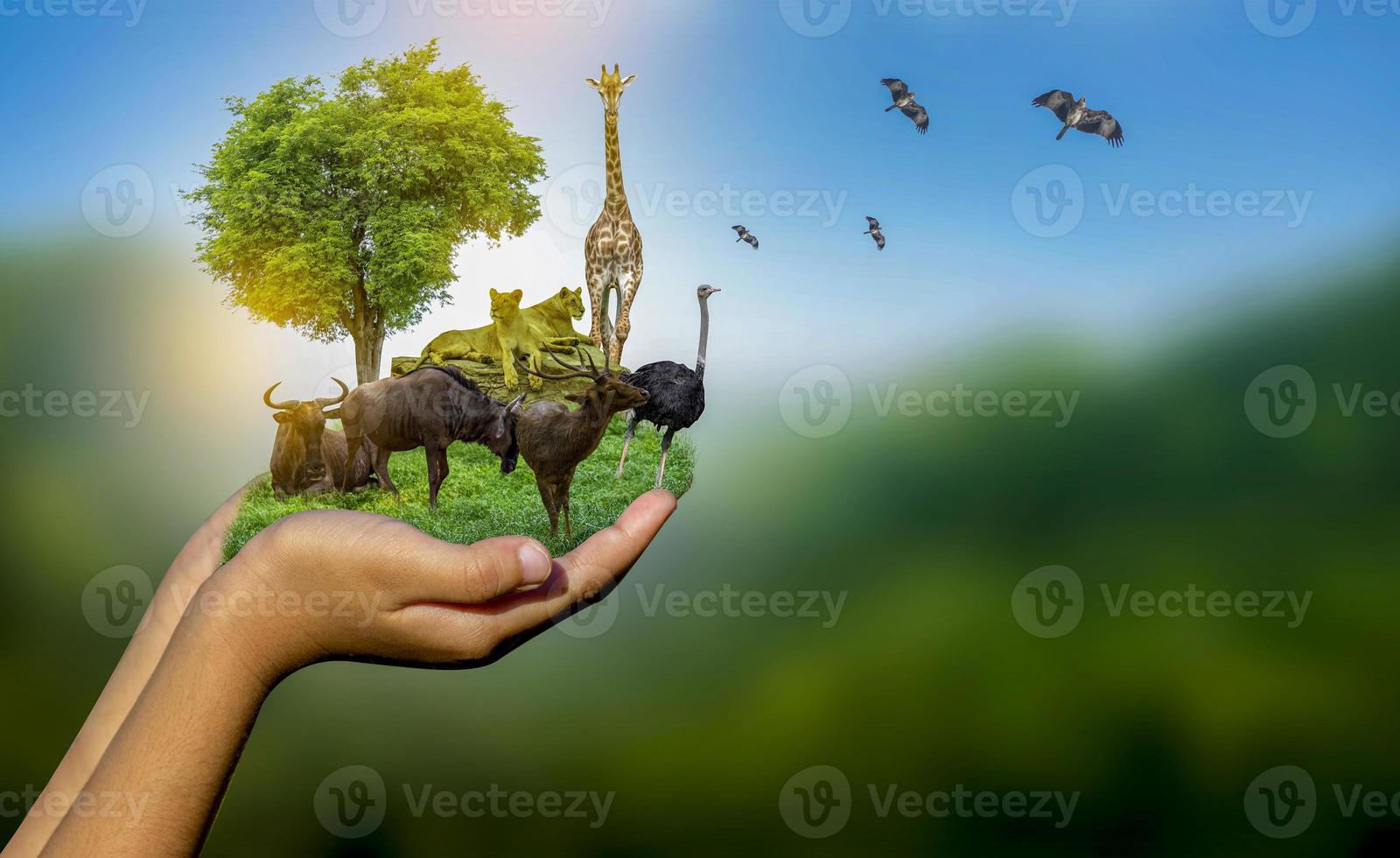 Wildlife Conservation Day Wild animals to the home. Or wildlife protection photo