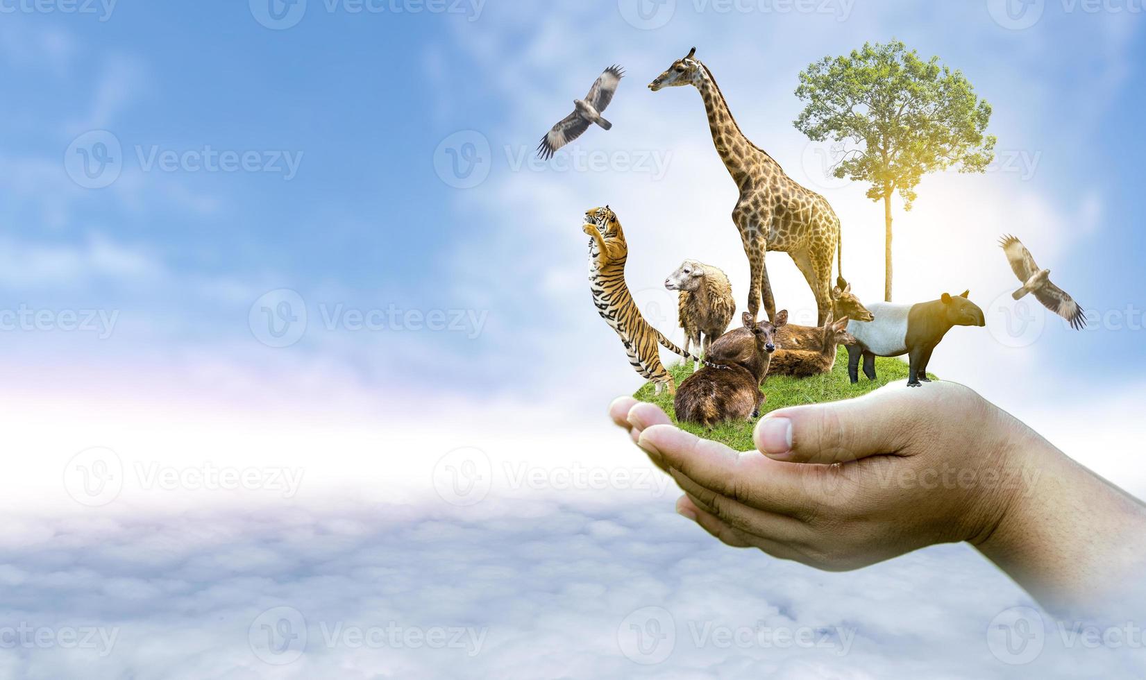 Wildlife Conservation Day Wild animals to the home. Or wildlife protection photo