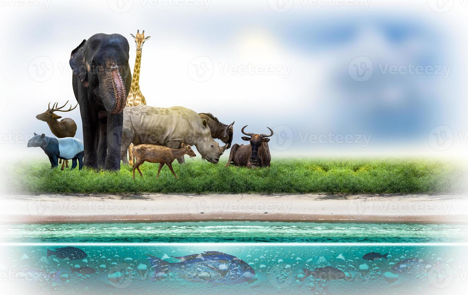 Wildlife Conservation Day Wild animals to the home. Or wildlife protection photo