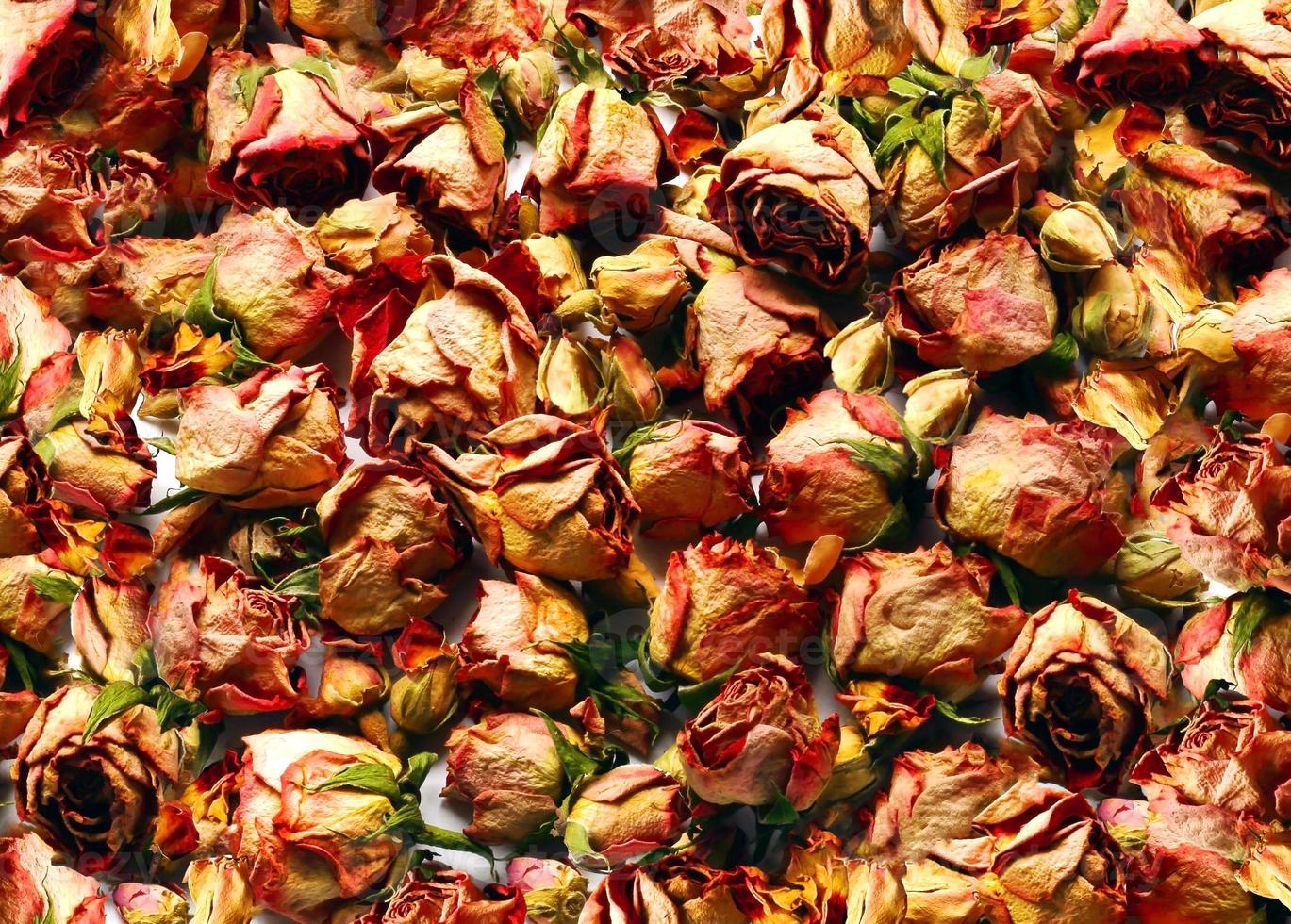 Pink and yellow dried roses table top backdrop photo