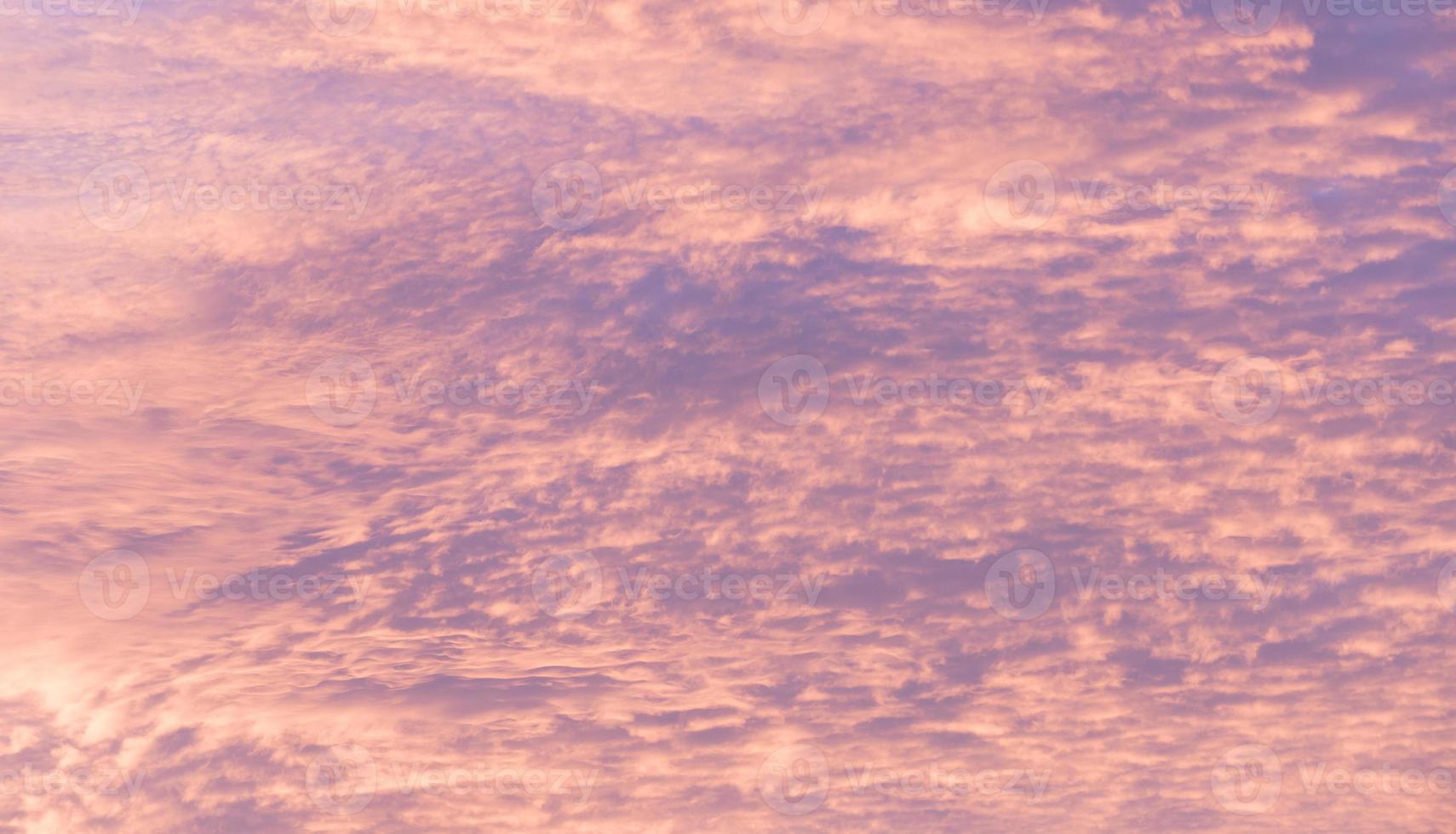 silueta de árboles con bonito fondo de cielo, bosque foto