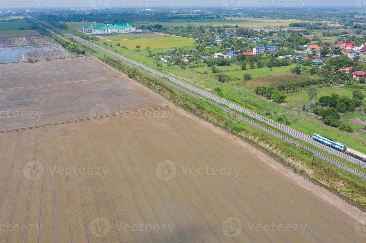 Field rice with landscape green pattern nature background photo