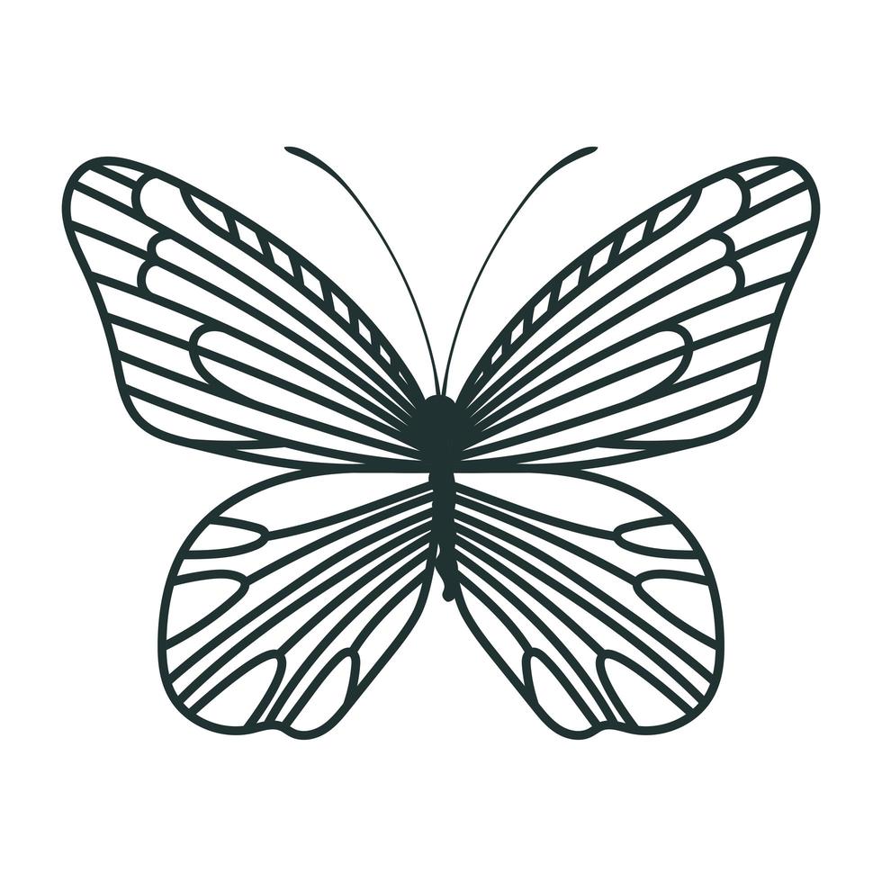 bonito icono de mariposa vector