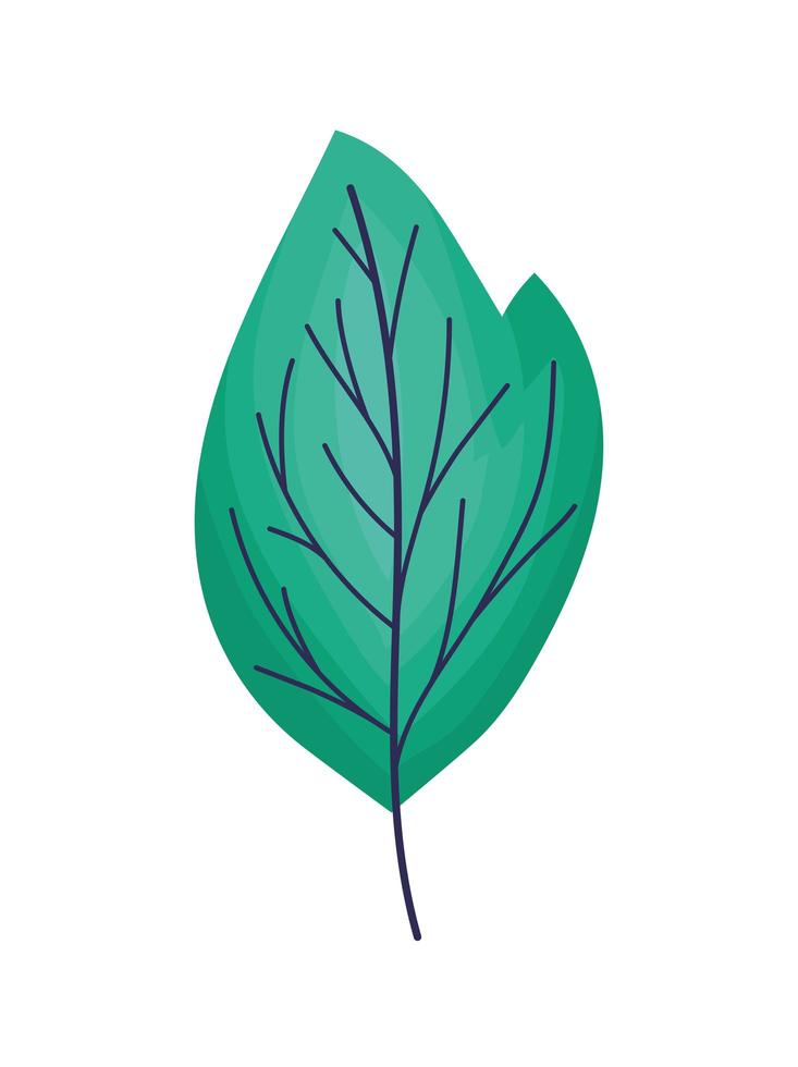 emerald leaf illustration vector