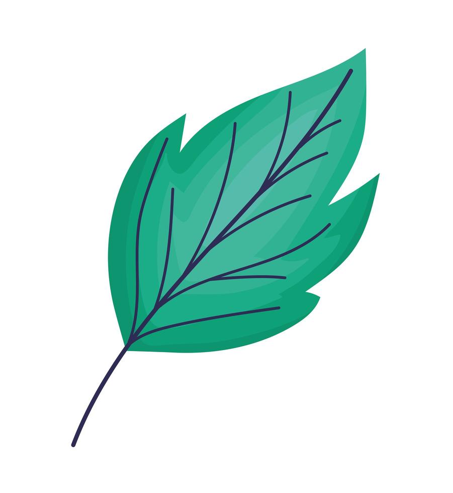 emerald leaf isolated vector