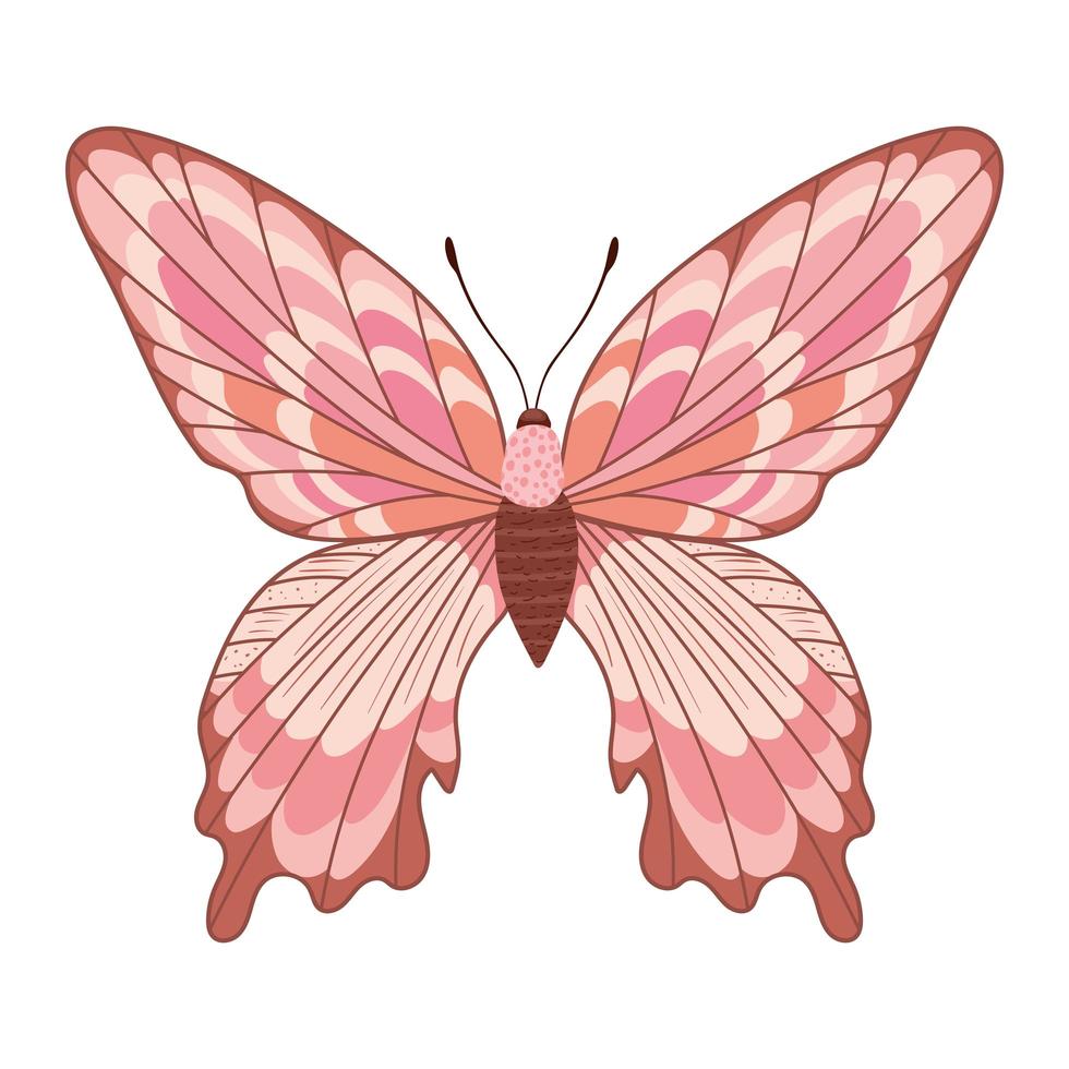 pink butterfly icon vector
