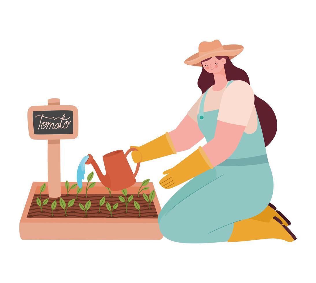 mujer plantando tomate vector