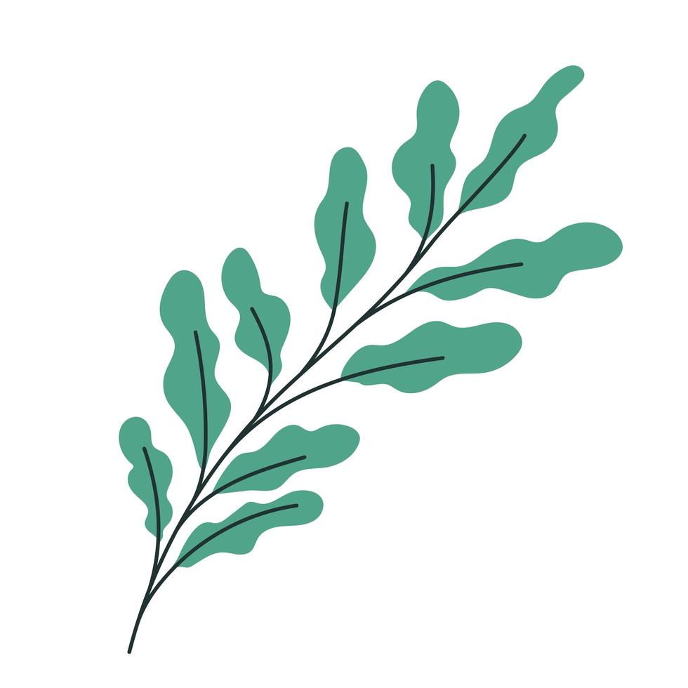 green leaves isolated vector