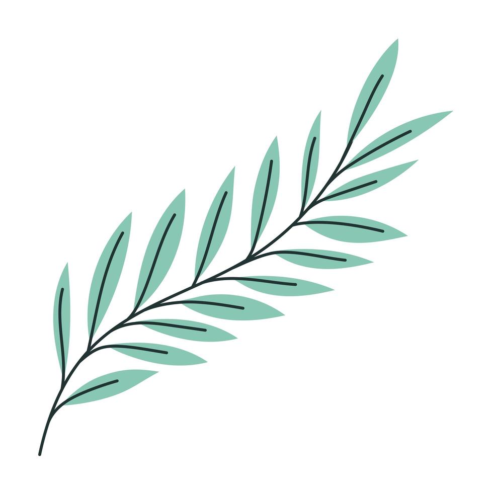 leaves and stem vector