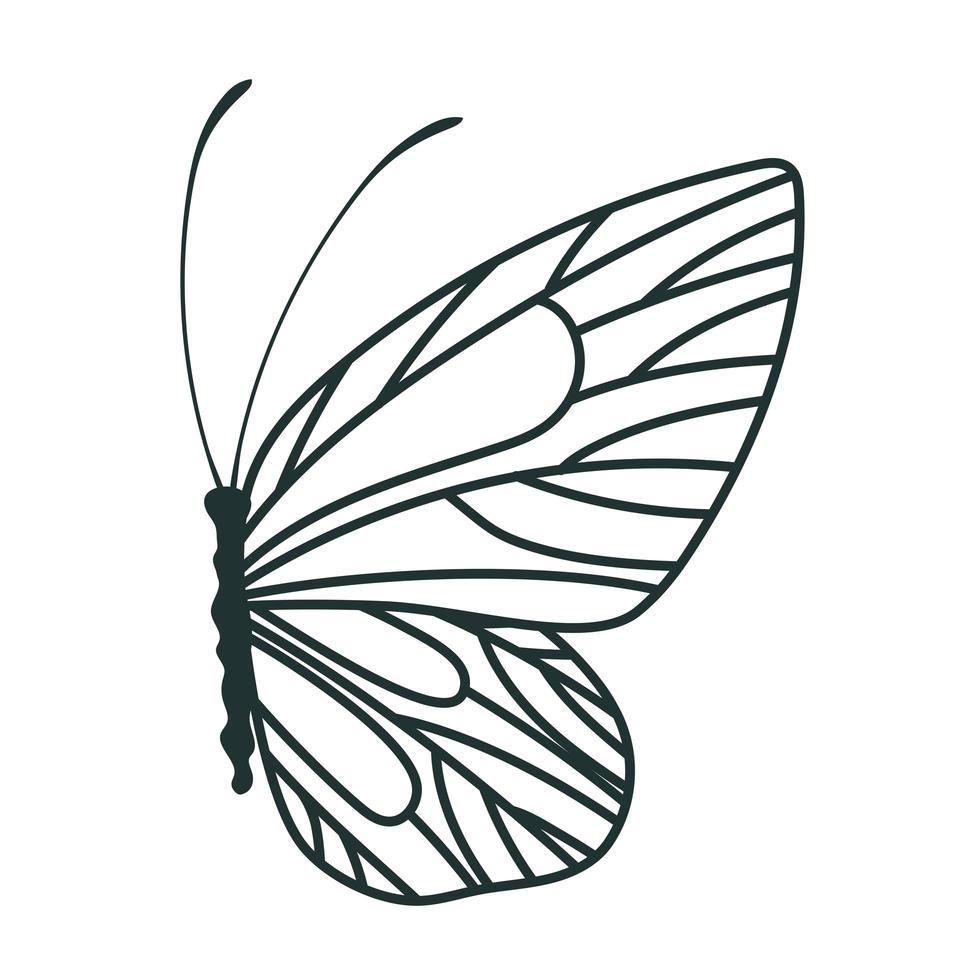 hermoso icono de mariposa vector