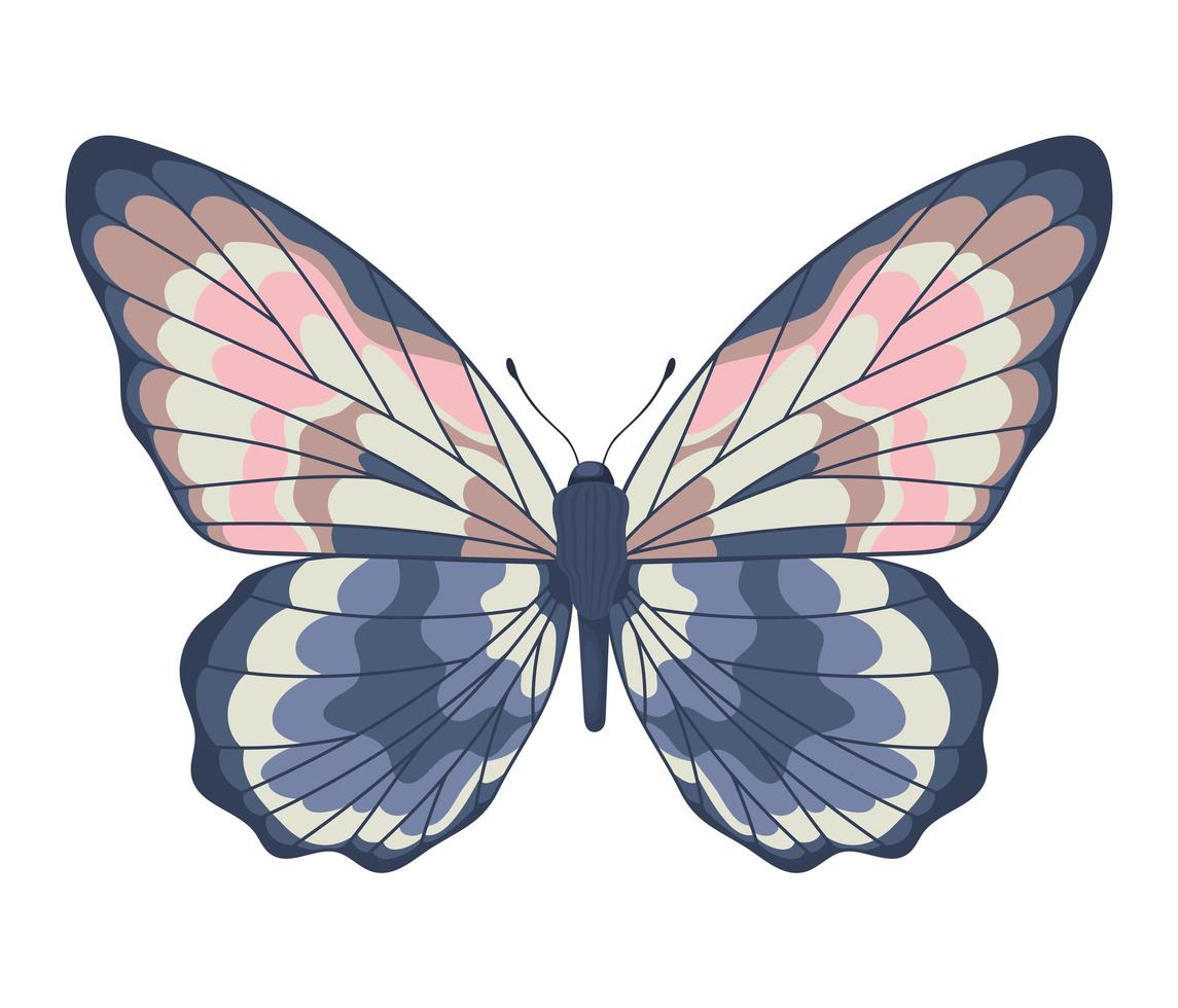 lindo icono de mariposa vector