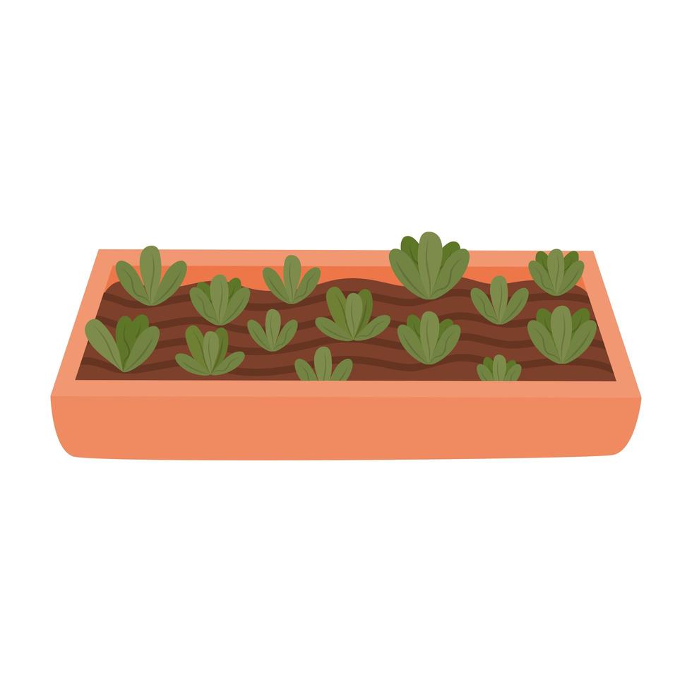 cute orange garden vector