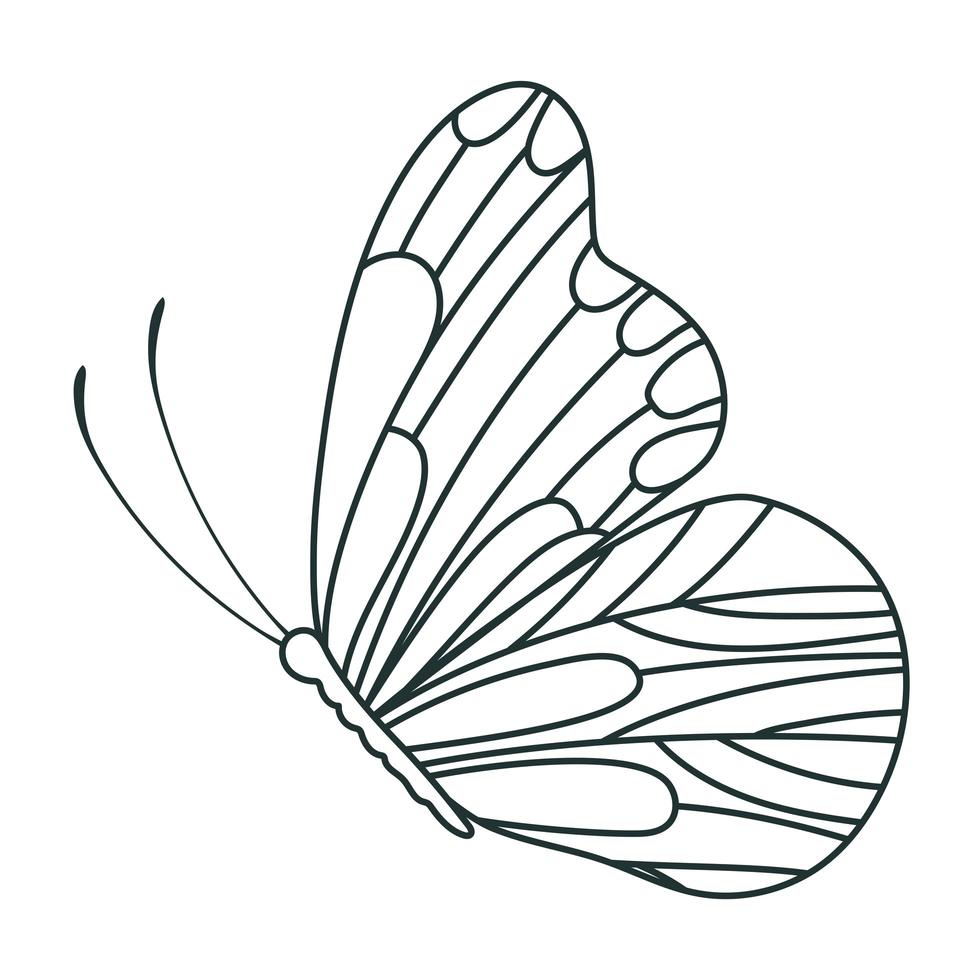 Mostrarte Telégrafo fondo linda mariposa de lado 2740000 Vector en Vecteezy