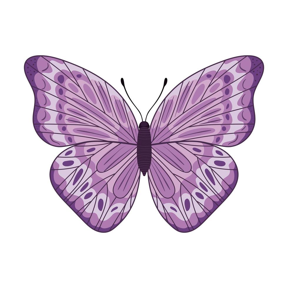 cute butterfly design vector