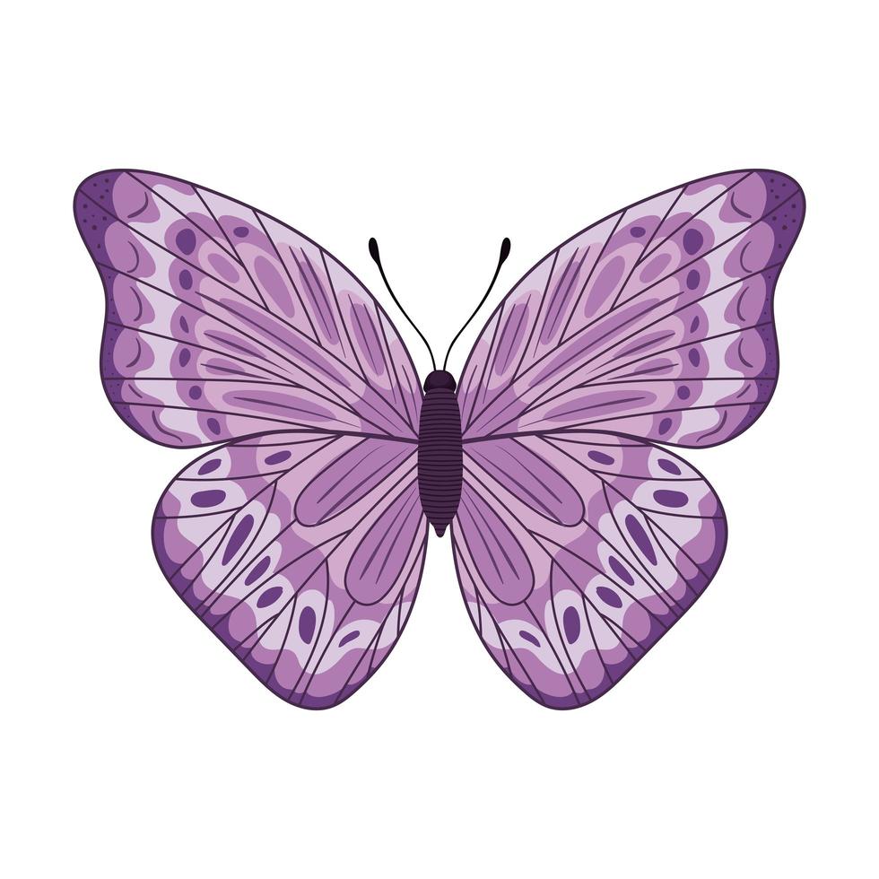 lindo diseño de mariposa vector