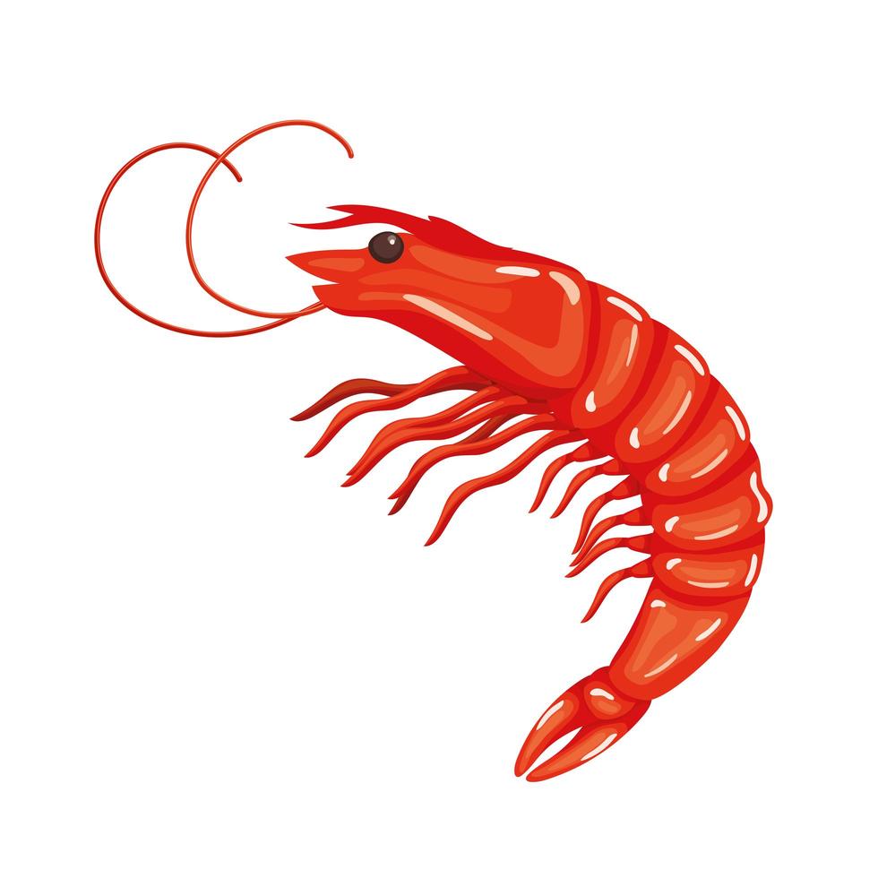 icono de shirmp saludable vector