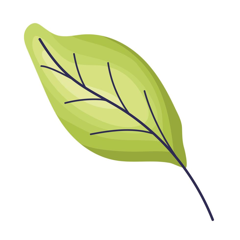 green leaf icon vector
