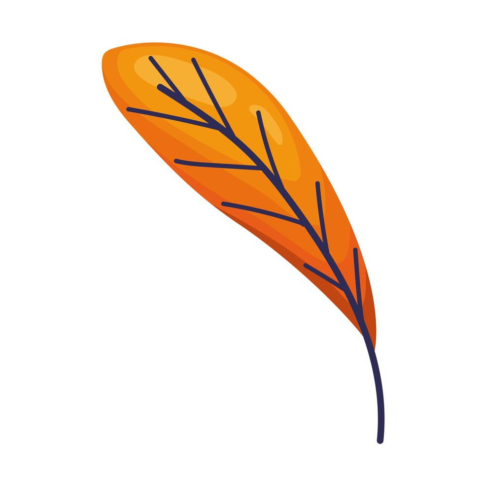 orange leaf isolated vector