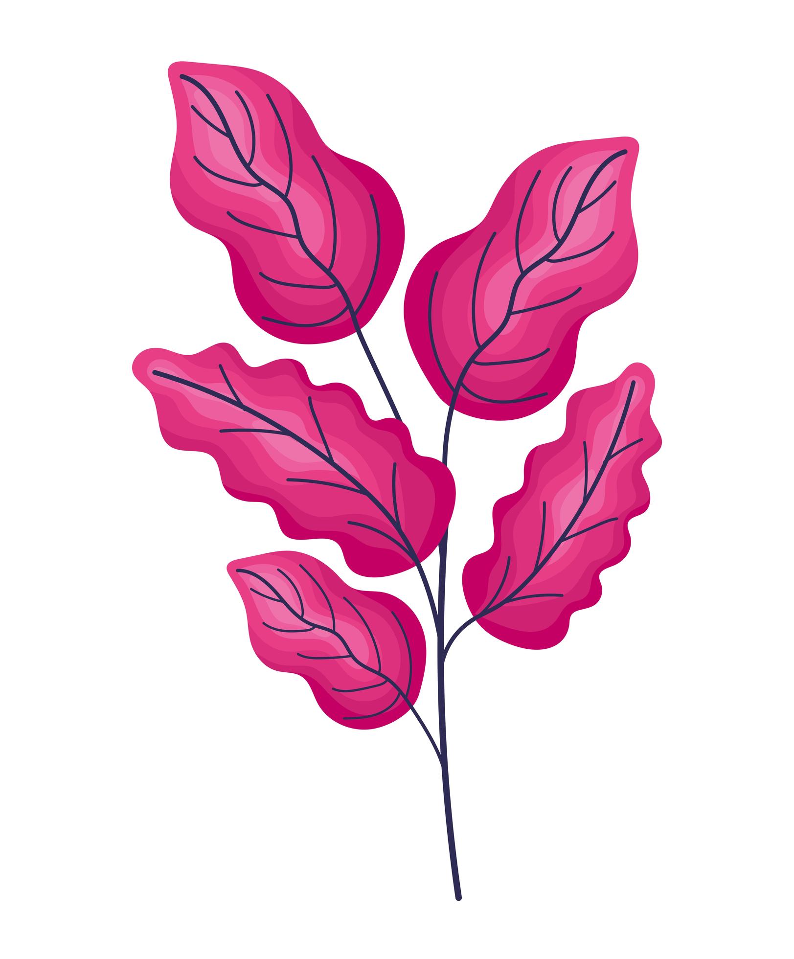 beautiful pink leaves 2740076 Vector Art at Vecteezy
