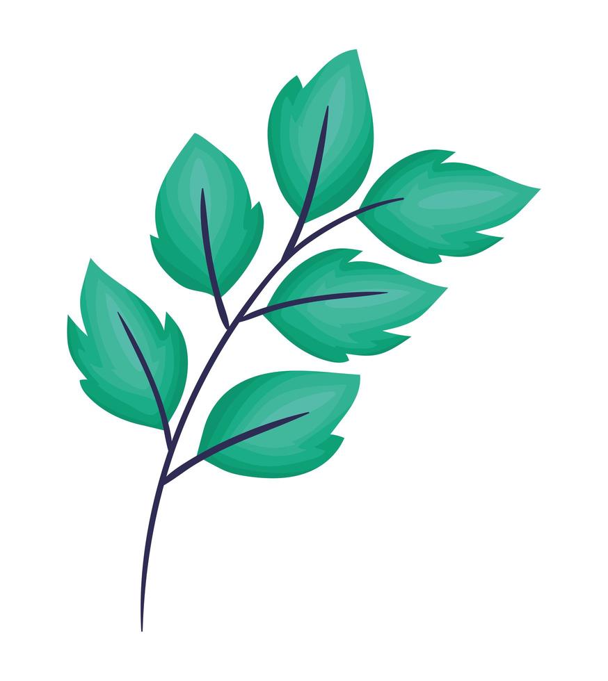 emerald leaves illustration vector