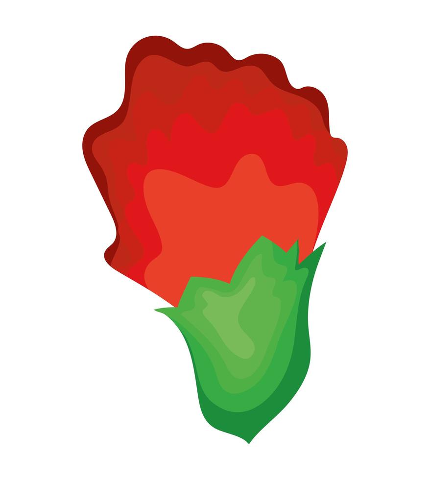 red rose isolated vector