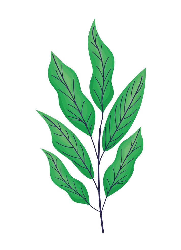 dark green leaves vector