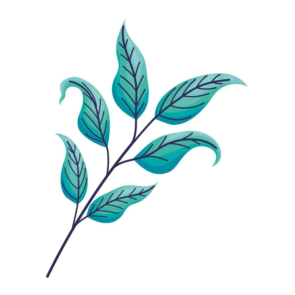 beautiful turquoise leaves vector