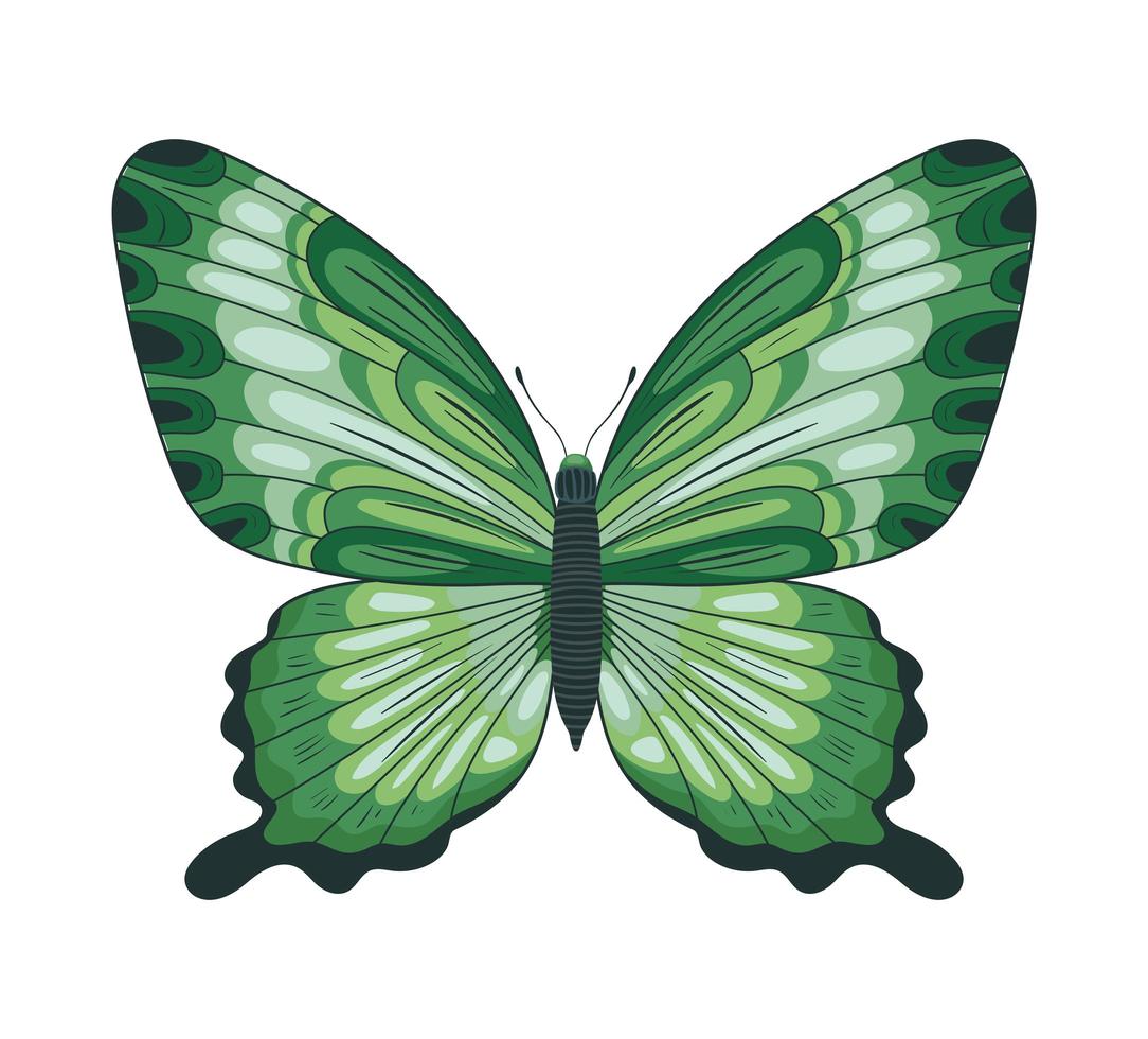 icono de mariposa verde vector