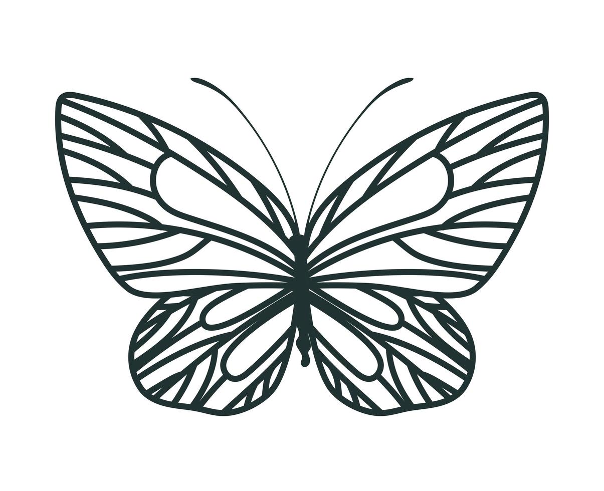 hermosa ilustración de mariposa vector