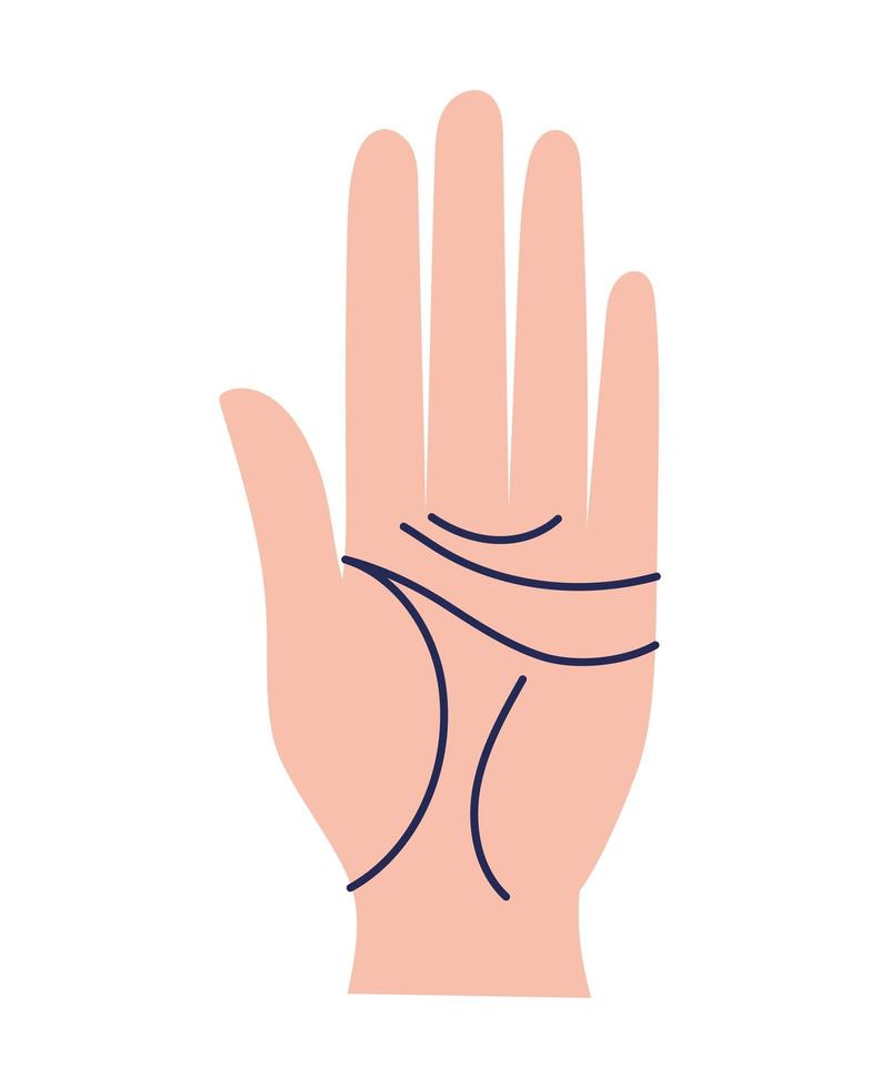 hand on a white background vector