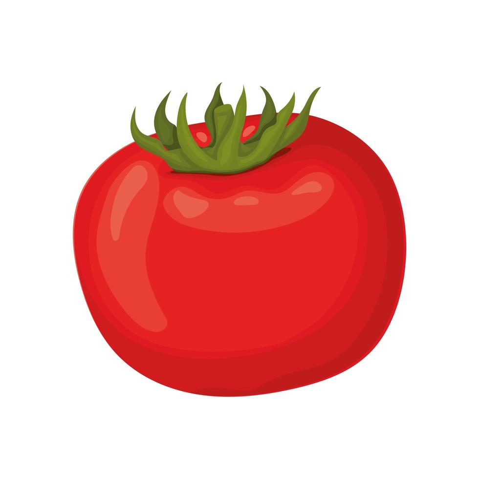 red tomato icon vector